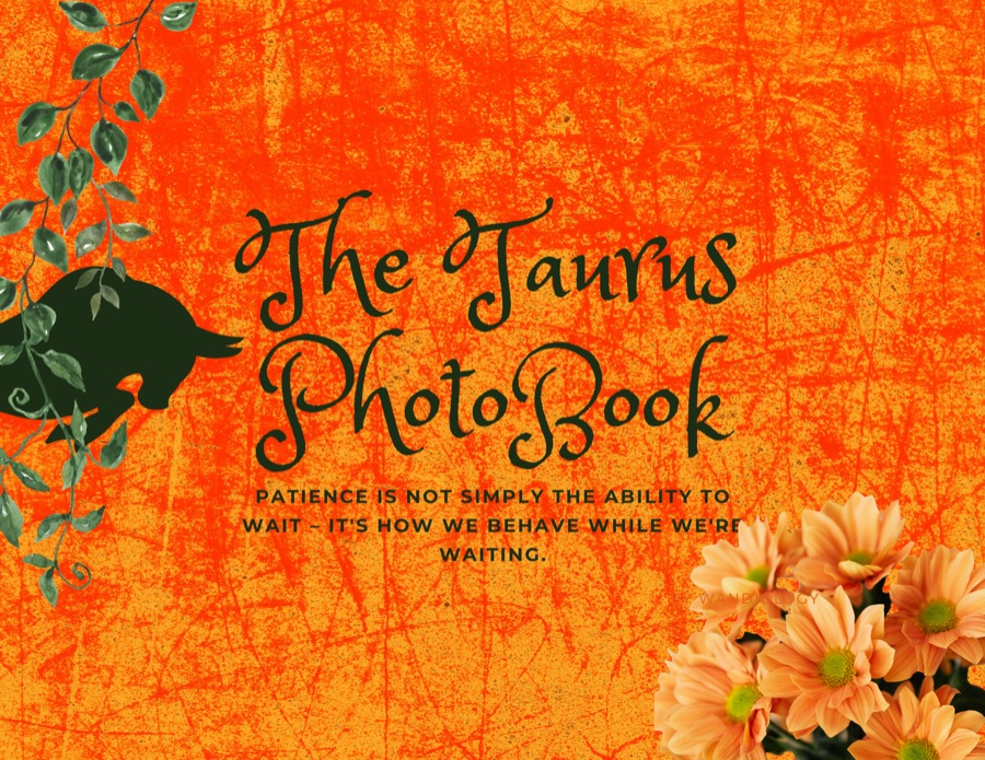 The Taurus Photobook cover